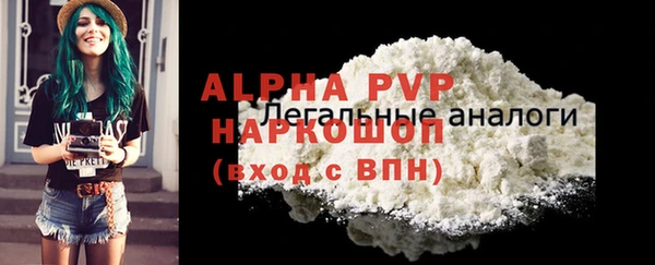 крисы Вязьма