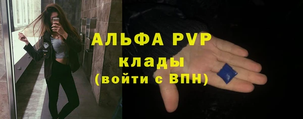 крисы Вязьма