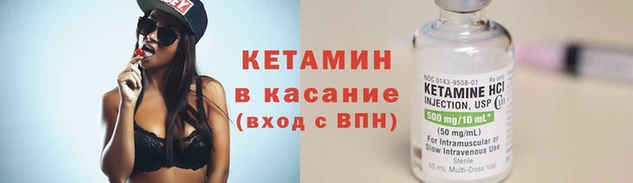 крисы Вязьма