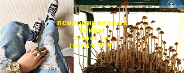 гидропоника Семёнов